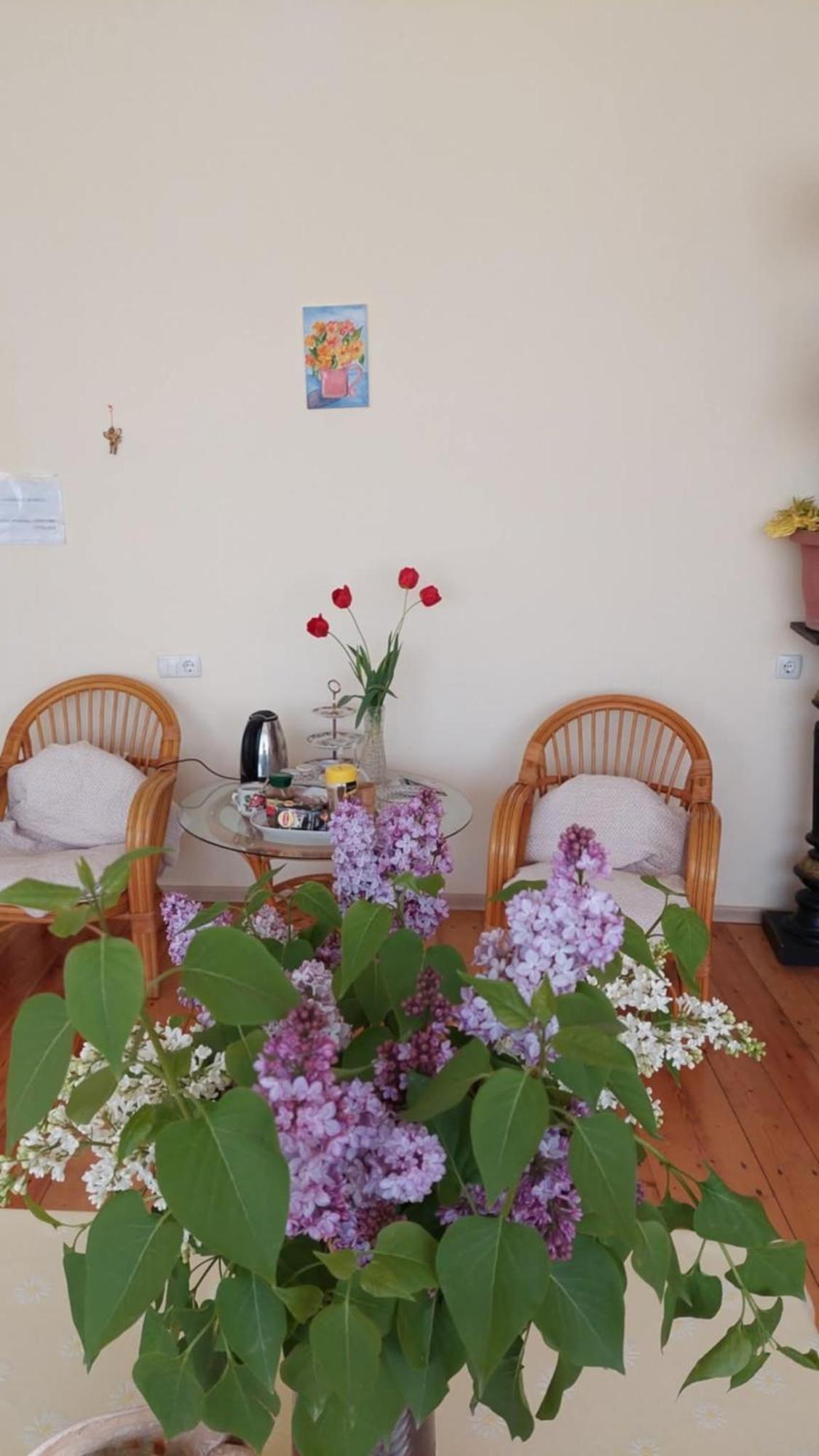 Guesthouse "Door" In Сигнахи Екстериор снимка