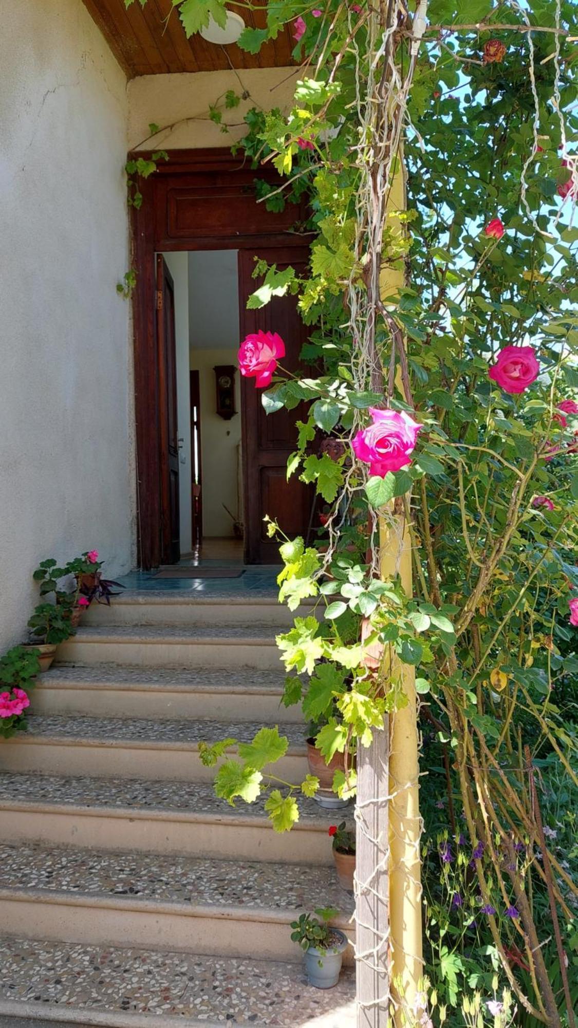 Guesthouse "Door" In Сигнахи Екстериор снимка